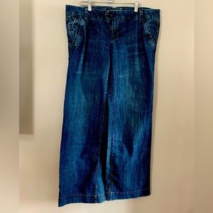 American Eagle low rise straight leg jeans. Size 14 long.